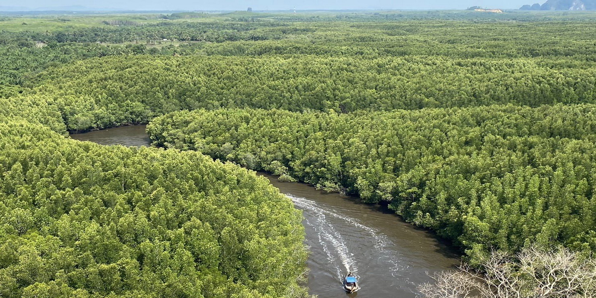 khao jom pa, phao jom forest, khao jom pa in trang, phao jom forest in trang