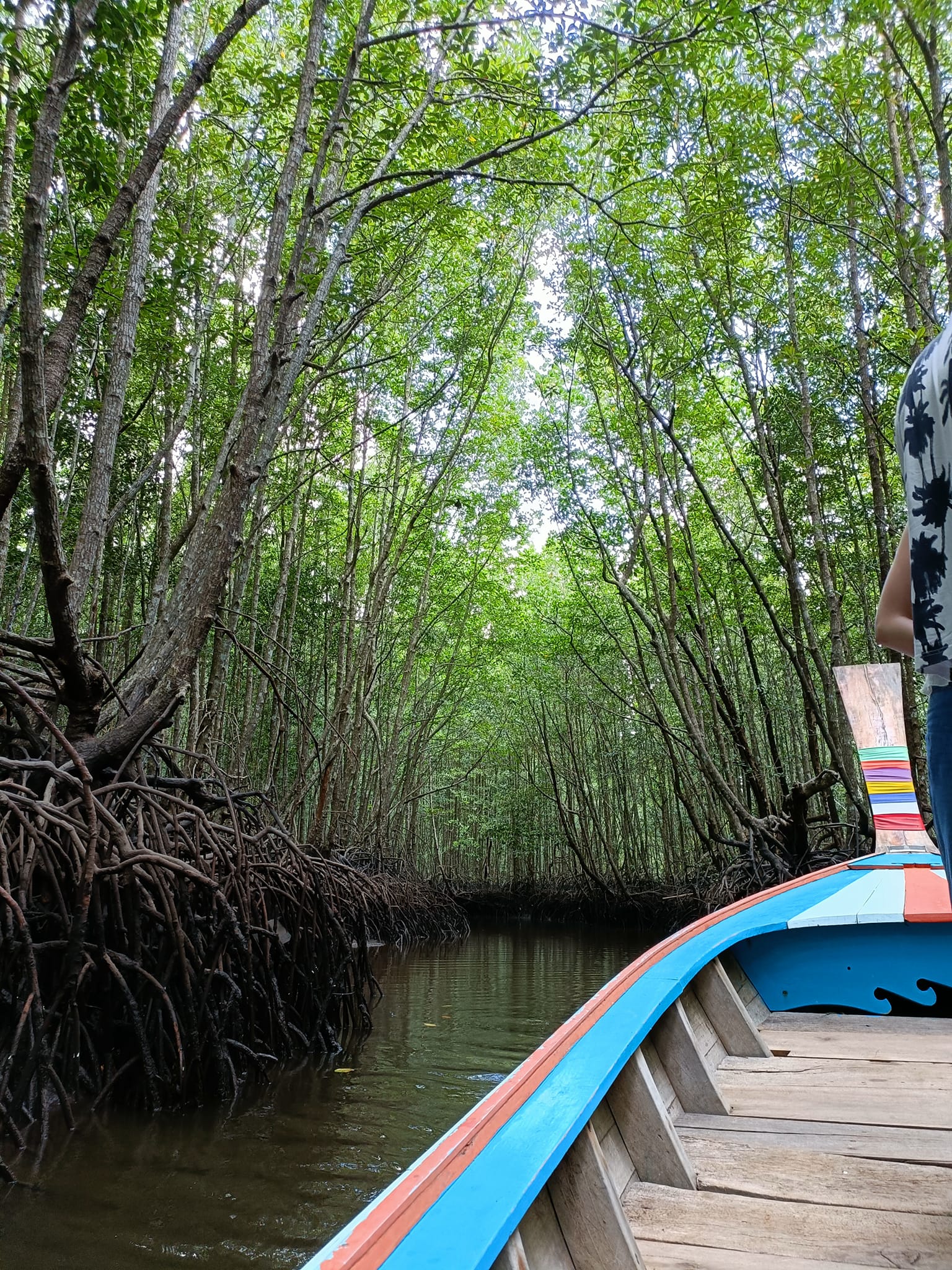 khao jom pa, phao jom forest, khao jom pa in trang, phao jom forest in trang