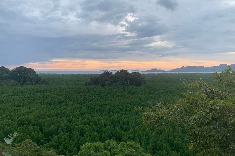 khao jom pa, phao jom forest, khao jom pa in trang, phao jom forest in trang