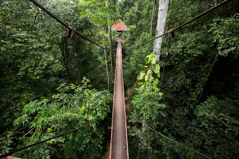 thung khai botanic garden, botanic garden in trang, peninsula botanic garden, peninsula botanic garden in trang