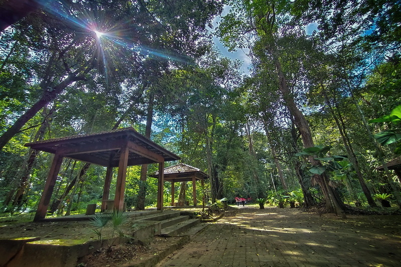 thung khai botanic garden, botanic garden in trang, peninsula botanic garden, peninsula botanic garden in trang