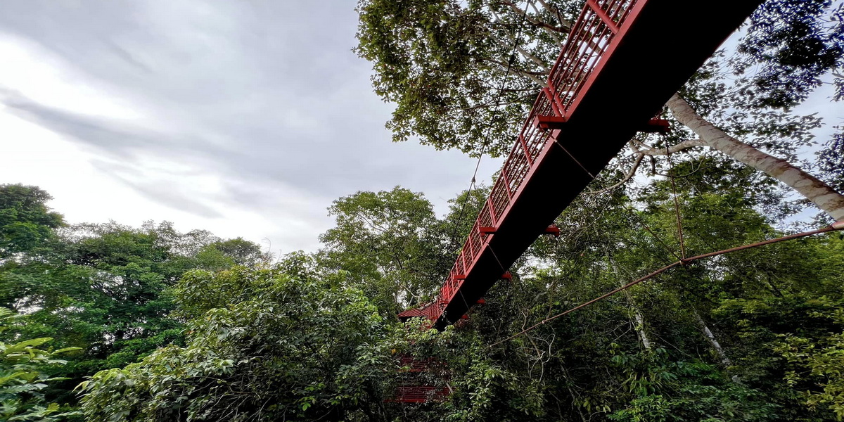 thung khai botanic garden, botanic garden in trang, peninsula botanic garden, peninsula botanic garden in trang