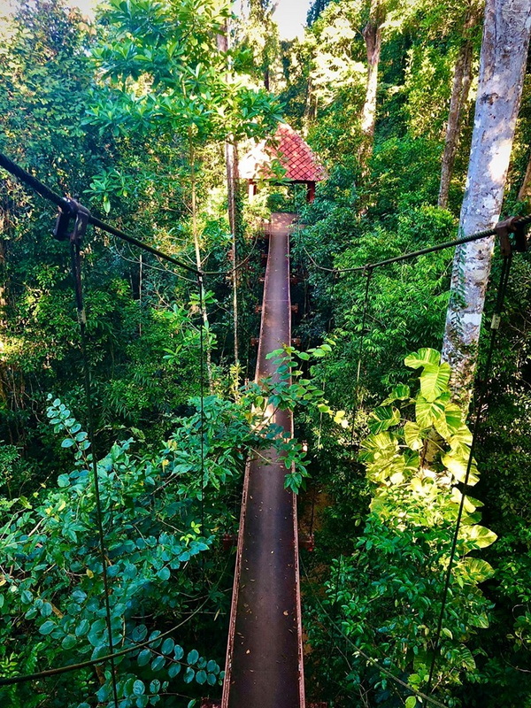 thung khai botanic garden, botanic garden in trang, peninsula botanic garden, peninsula botanic garden in trang