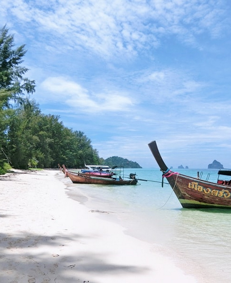 trang travel guide