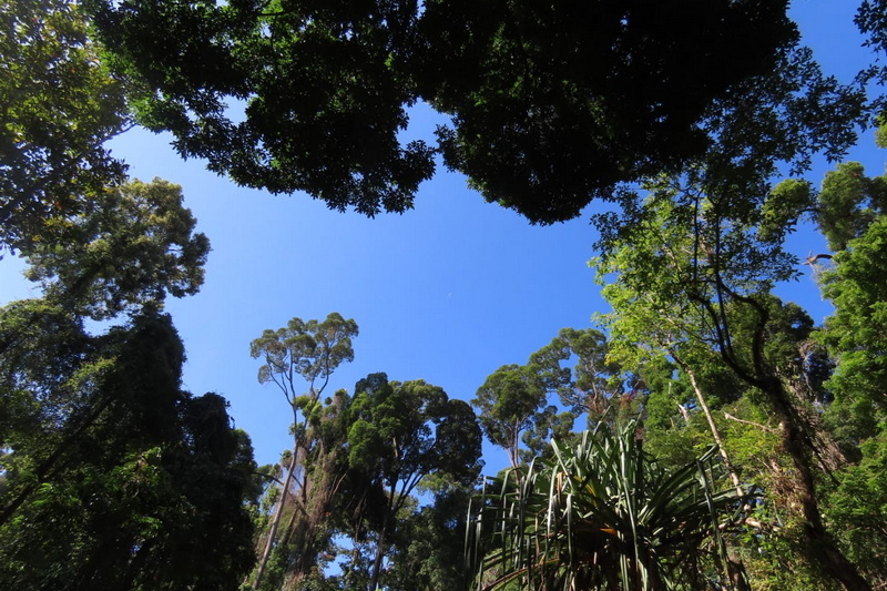 khao lak-lam ru national park, khao lak national park, khao lak-lam ru, khao lak pang nga, attractions in khao lak, attractions in khao lak-lam ru national park, attractions in khao lak-lam ru