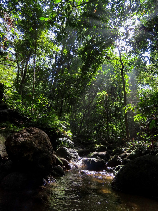 khao lak-lam ru national park, khao lak national park, khao lak-lam ru, khao lak pang nga, attractions in khao lak, attractions in khao lak-lam ru national park, attractions in khao lak-lam ru