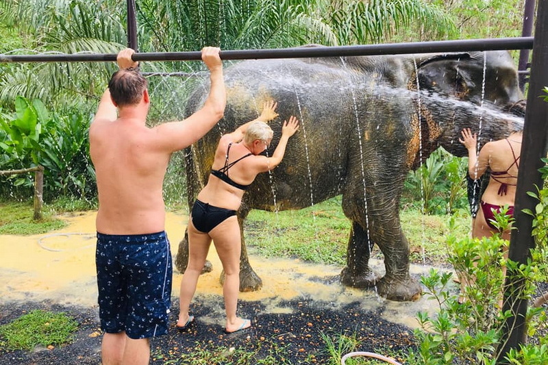 khaolak elephant care, khaolak elephant volunteer, khaolak elephant tour