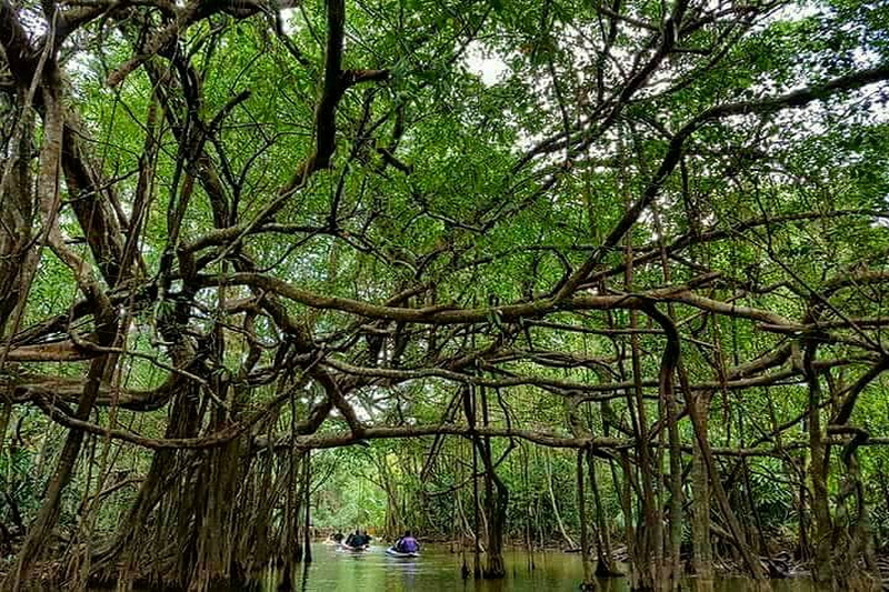 little amazon, klong sangne, little amazon takua pa, boat trip little amazon, boat trip klong sangne, boat trip little amazon takua pa