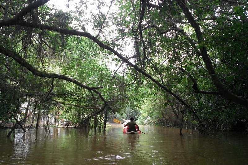 little amazon, klong sangne, little amazon takua pa, boat trip little amazon, boat trip klong sangne, boat trip little amazon takua pa