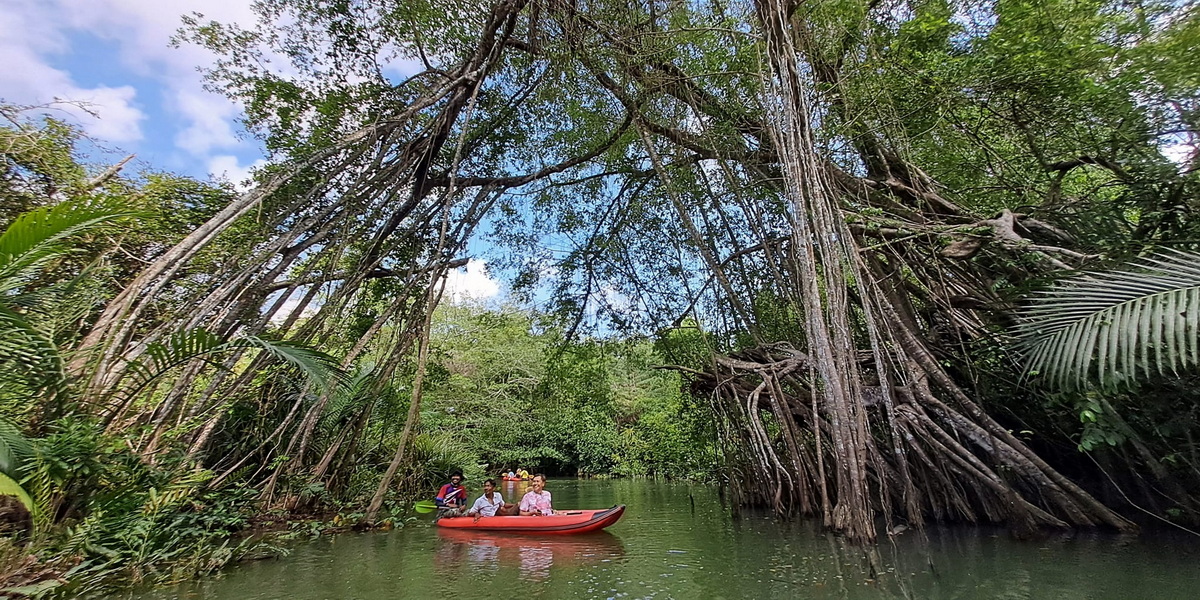 little amazon, klong sangne, little amazon  takua pa, boat trip little amazon, boat trip klong sangne, boat trip little amazon  takua pa