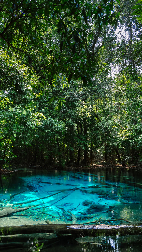 emerald pool, emerald pool Krabi, sa morakot, sa morakot krabi