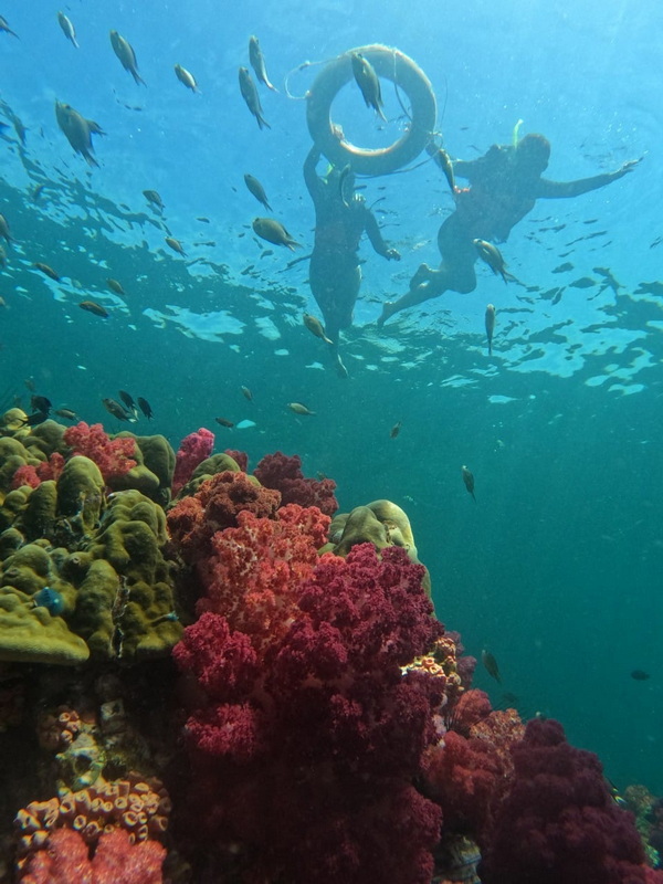 hin ngam island, koh hin ngam, ko hin ngam, koh hin ngam seaside thailand, hin ngam seaside thailand, hin ngam island satun, koh hin ngam satun, ko hin ngam satun