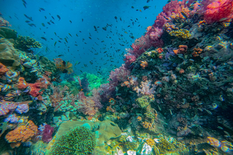 hin ngam island, koh hin ngam, ko hin ngam, koh hin ngam seaside thailand, hin ngam seaside thailand, hin ngam island satun, koh hin ngam satun, ko hin ngam satun