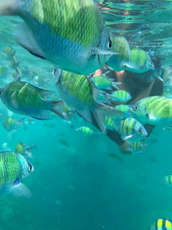 poda island, koh poda, poda island krabi, koh poda Krabi, poda seaside thailand