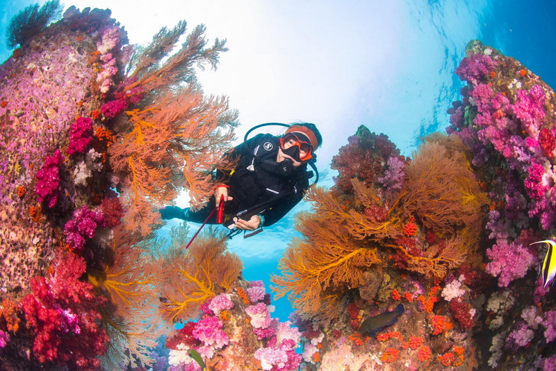 talang island, koh talang, ko talang, koh lipe east zone, koh lipe islands east zone, lipe islands east zone