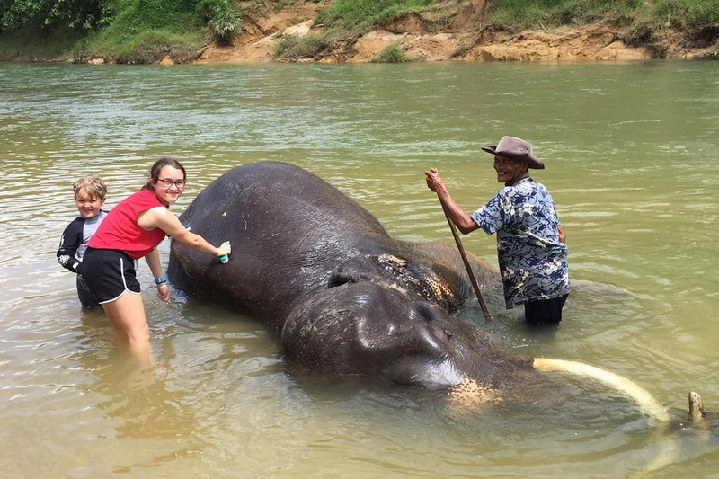 Phang Nga Tour02 : Khaolak Elephant Care